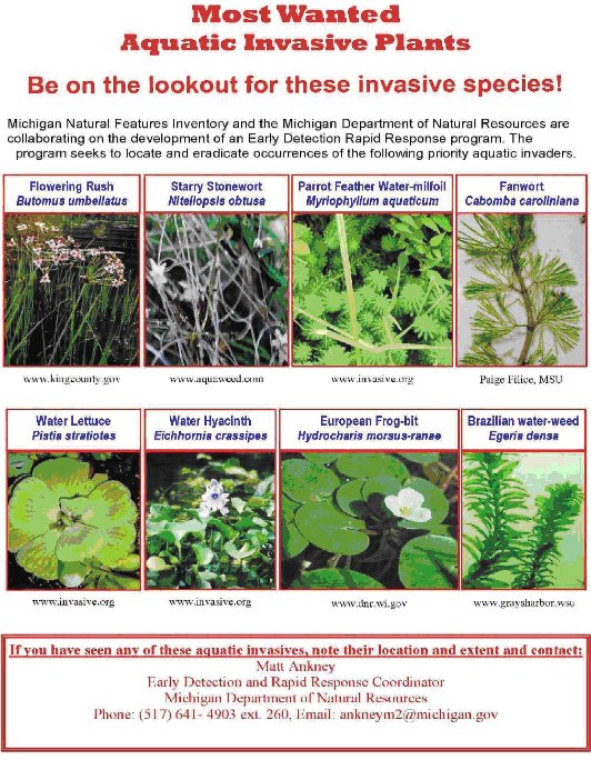 Aquadic_Invasive_Plants.jpg